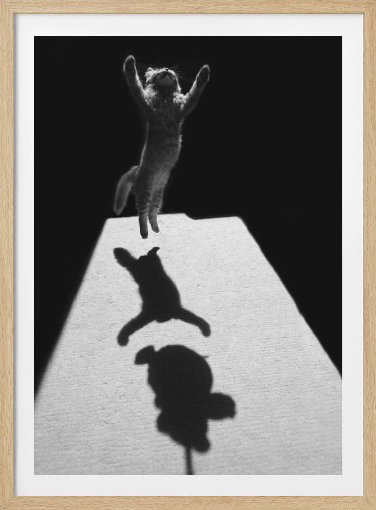 A dramatic black and white photograph of a fluffy kitten caught mid-jump, with its front paws raised high in the air. Strong light illuminates the kitten from the front, casting a distinct shadow on the bright ground below it. The background is solid black, creating a high-contrast, artistic effect. Print