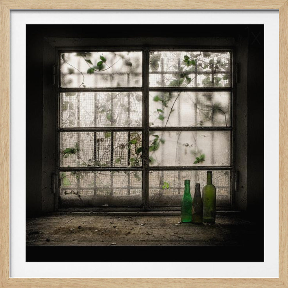 A moody photograph of three dusty green glass bottles sitting on a dirty windowsill in a dark, abandoned room. Behind them, a large, grimy, multi-paned window with wire mesh lets in dim light, revealing the silhouettes of overgrown vines outside. Poster