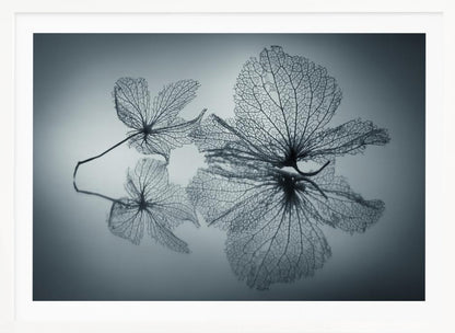 A framed, monochromatic photograph of two delicate skeleton flowers resting on a reflective surface. The intricate, web-like veins of the dried flowers are shown in close-up detail, and their faint reflections are visible below. The background is a soft, out-of-focus gray gradient. Artwork