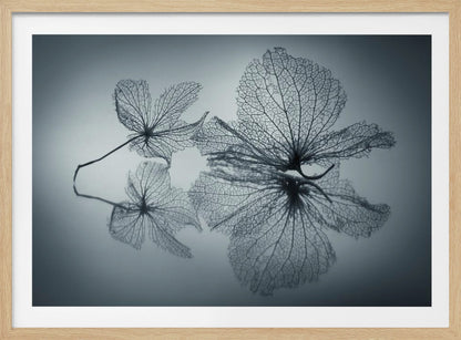 A framed, monochromatic photograph of two delicate skeleton flowers resting on a reflective surface. The intricate, web-like veins of the dried flowers are shown in close-up detail, and their faint reflections are visible below. The background is a soft, out-of-focus gray gradient. Artwork