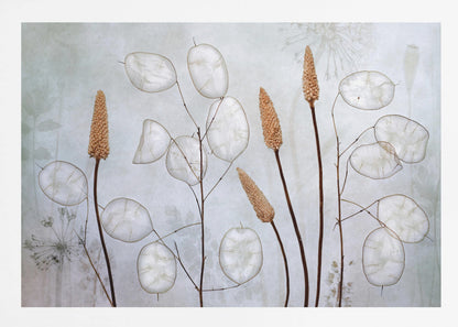 A framed botanical artwork featuring delicate dried stems of silver dollar plants (Lunaria annua) with their translucent white pods, alongside taller brown grasses. The arrangement is set against a muted, pale blue-gray background with faint floral imprints, creating a serene and natural composition. Wall Art