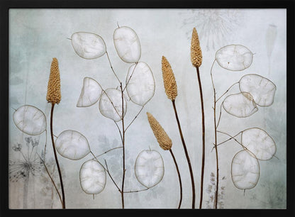 A framed botanical artwork featuring delicate dried stems of silver dollar plants (Lunaria annua) with their translucent white pods, alongside taller brown grasses. The arrangement is set against a muted, pale blue-gray background with faint floral imprints, creating a serene and natural composition. Wall Art