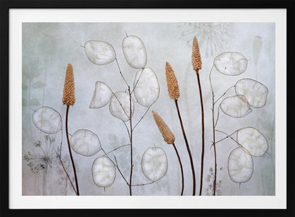 A framed botanical artwork featuring delicate dried stems of silver dollar plants (Lunaria annua) with their translucent white pods, alongside taller brown grasses. The arrangement is set against a muted, pale blue-gray background with faint floral imprints, creating a serene and natural composition. Wall Art