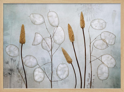 A framed botanical artwork featuring delicate dried stems of silver dollar plants (Lunaria annua) with their translucent white pods, alongside taller brown grasses. The arrangement is set against a muted, pale blue-gray background with faint floral imprints, creating a serene and natural composition. Wall Art