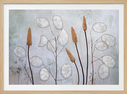 A framed botanical artwork featuring delicate dried stems of silver dollar plants (Lunaria annua) with their translucent white pods, alongside taller brown grasses. The arrangement is set against a muted, pale blue-gray background with faint floral imprints, creating a serene and natural composition. Wall Art