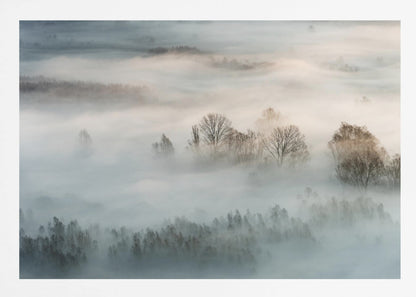An atmospheric landscape photograph of a forest shrouded in thick, rolling fog, with the bare branches of treetops emerging from the mist, creating a serene and mysterious scene, presented in a silver frame. Wall Art