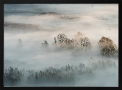 An atmospheric landscape photograph of a forest shrouded in thick, rolling fog, with the bare branches of treetops emerging from the mist, creating a serene and mysterious scene, presented in a silver frame. Wall Art