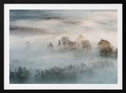 An atmospheric landscape photograph of a forest shrouded in thick, rolling fog, with the bare branches of treetops emerging from the mist, creating a serene and mysterious scene, presented in a silver frame. Wall Art