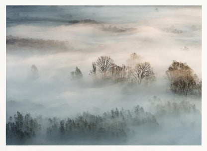 An atmospheric landscape photograph of a forest shrouded in thick, rolling fog, with the bare branches of treetops emerging from the mist, creating a serene and mysterious scene, presented in a silver frame. Wall Art