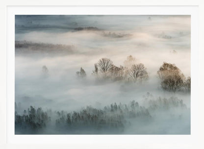 An atmospheric landscape photograph of a forest shrouded in thick, rolling fog, with the bare branches of treetops emerging from the mist, creating a serene and mysterious scene, presented in a silver frame. Wall Art