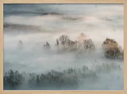 An atmospheric landscape photograph of a forest shrouded in thick, rolling fog, with the bare branches of treetops emerging from the mist, creating a serene and mysterious scene, presented in a silver frame. Wall Art