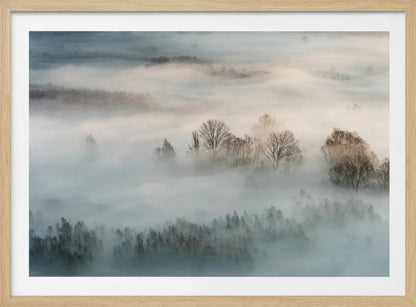 An atmospheric landscape photograph of a forest shrouded in thick, rolling fog, with the bare branches of treetops emerging from the mist, creating a serene and mysterious scene, presented in a silver frame. Wall Art