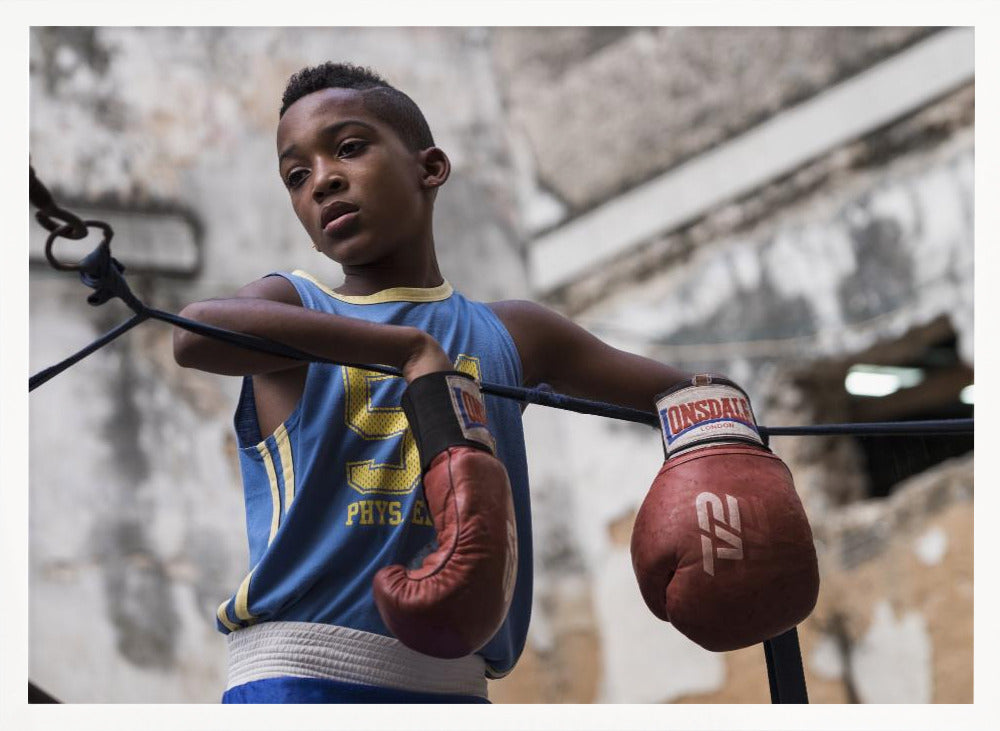 Boxing - Poster / Art Print