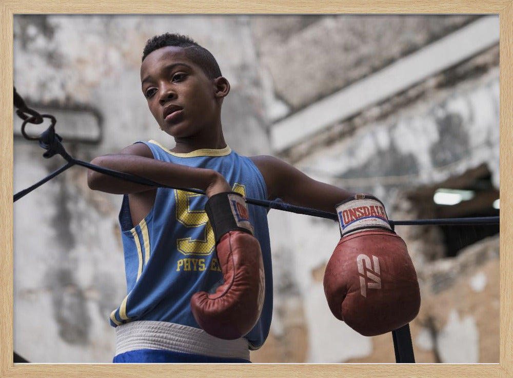 Boxing - Poster / Art Print