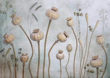 A framed artwork depicting a collection of dried poppy seed heads on long, elegant stems, arranged against a soft, textured sage green background with faint outlines of other plants. Wall Art