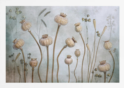 A framed artwork depicting a collection of dried poppy seed heads on long, elegant stems, arranged against a soft, textured sage green background with faint outlines of other plants. Wall Art