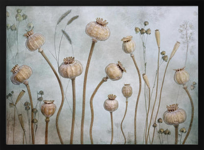 A framed artwork depicting a collection of dried poppy seed heads on long, elegant stems, arranged against a soft, textured sage green background with faint outlines of other plants. Wall Art