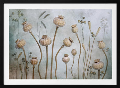 A framed artwork depicting a collection of dried poppy seed heads on long, elegant stems, arranged against a soft, textured sage green background with faint outlines of other plants. Wall Art