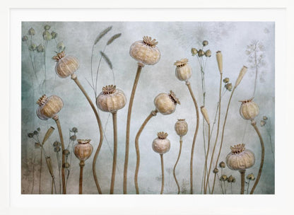 A framed artwork depicting a collection of dried poppy seed heads on long, elegant stems, arranged against a soft, textured sage green background with faint outlines of other plants. Wall Art