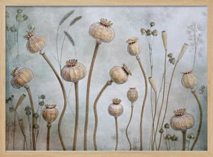 A framed artwork depicting a collection of dried poppy seed heads on long, elegant stems, arranged against a soft, textured sage green background with faint outlines of other plants. Wall Art