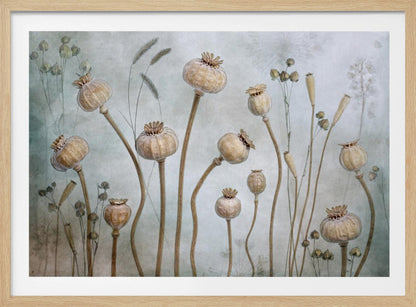 A framed artwork depicting a collection of dried poppy seed heads on long, elegant stems, arranged against a soft, textured sage green background with faint outlines of other plants. Wall Art