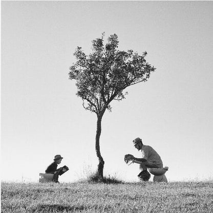 A framed, black and white photograph depicting a surreal scene of a man and a child sitting on toilets in an open grassy field under a single tree, both wearing hats and reading. Print