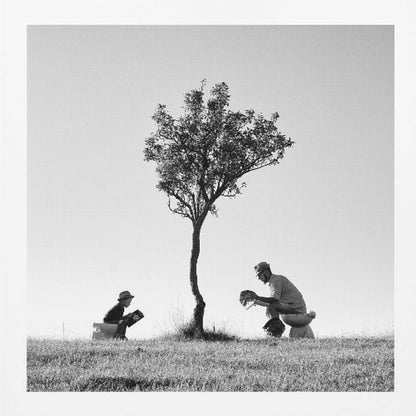 A framed, black and white photograph depicting a surreal scene of a man and a child sitting on toilets in an open grassy field under a single tree, both wearing hats and reading. Print