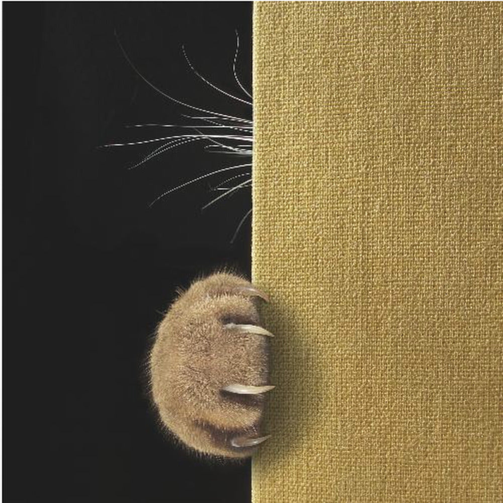 Shy cat ... - Poster / Art Print