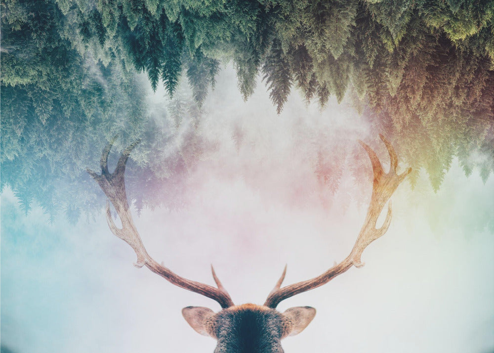 Antler - Poster / Art Print