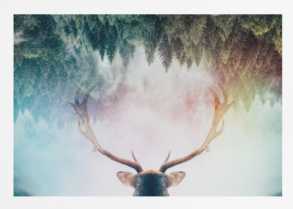 Antler - Poster / Art Print