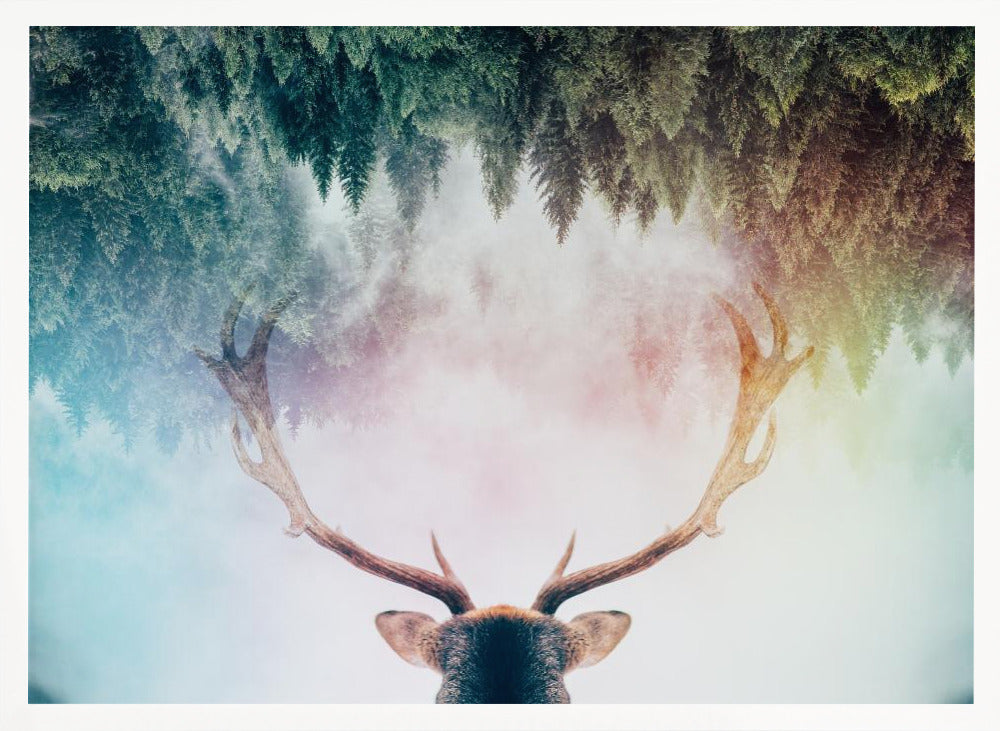 Antler - Poster / Art Print