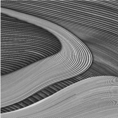 A framed black and white abstract artwork featuring a dynamic composition of flowing, wave-like forms created from dense, parallel lines. Lighter-toned curves sweep across the canvas, overlapping darker areas and creating a sense of depth, texture, and movement. Decor