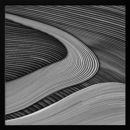 A framed black and white abstract artwork featuring a dynamic composition of flowing, wave-like forms created from dense, parallel lines. Lighter-toned curves sweep across the canvas, overlapping darker areas and creating a sense of depth, texture, and movement. Decor