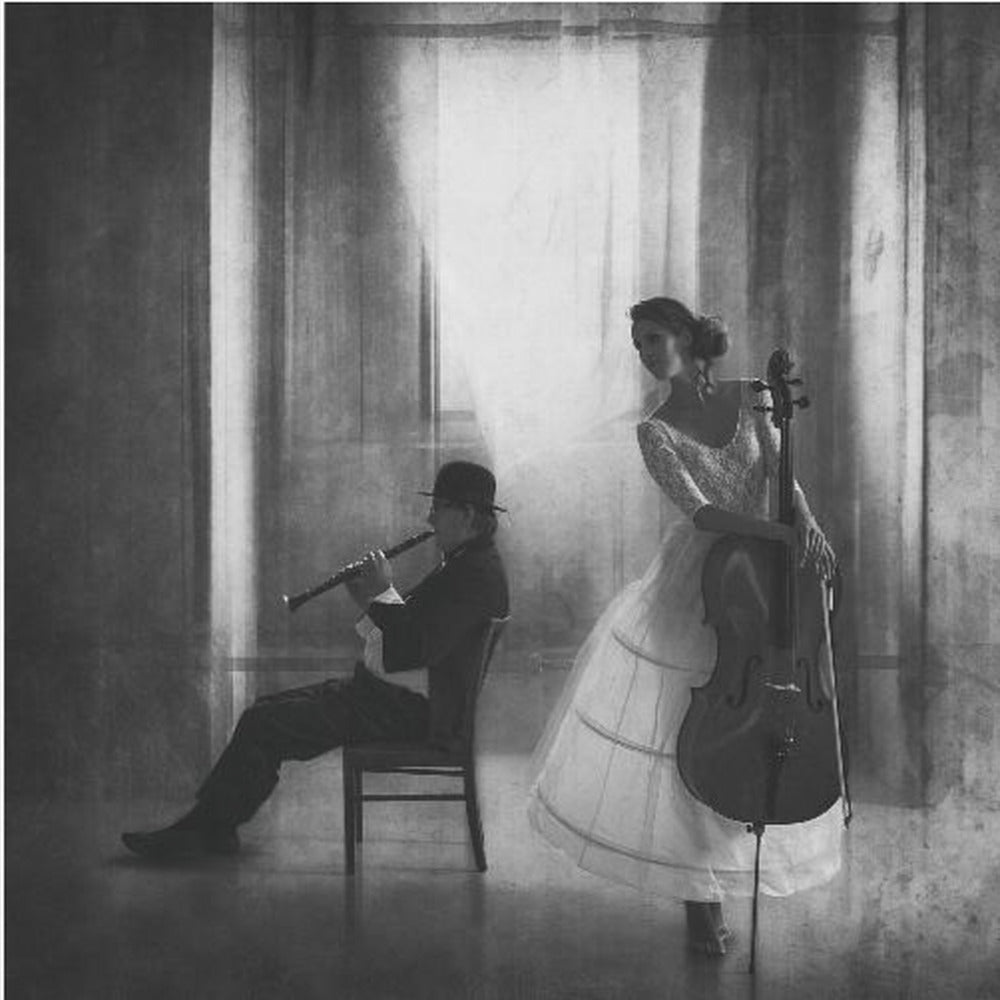 Pause for cello - Poster / Art Print