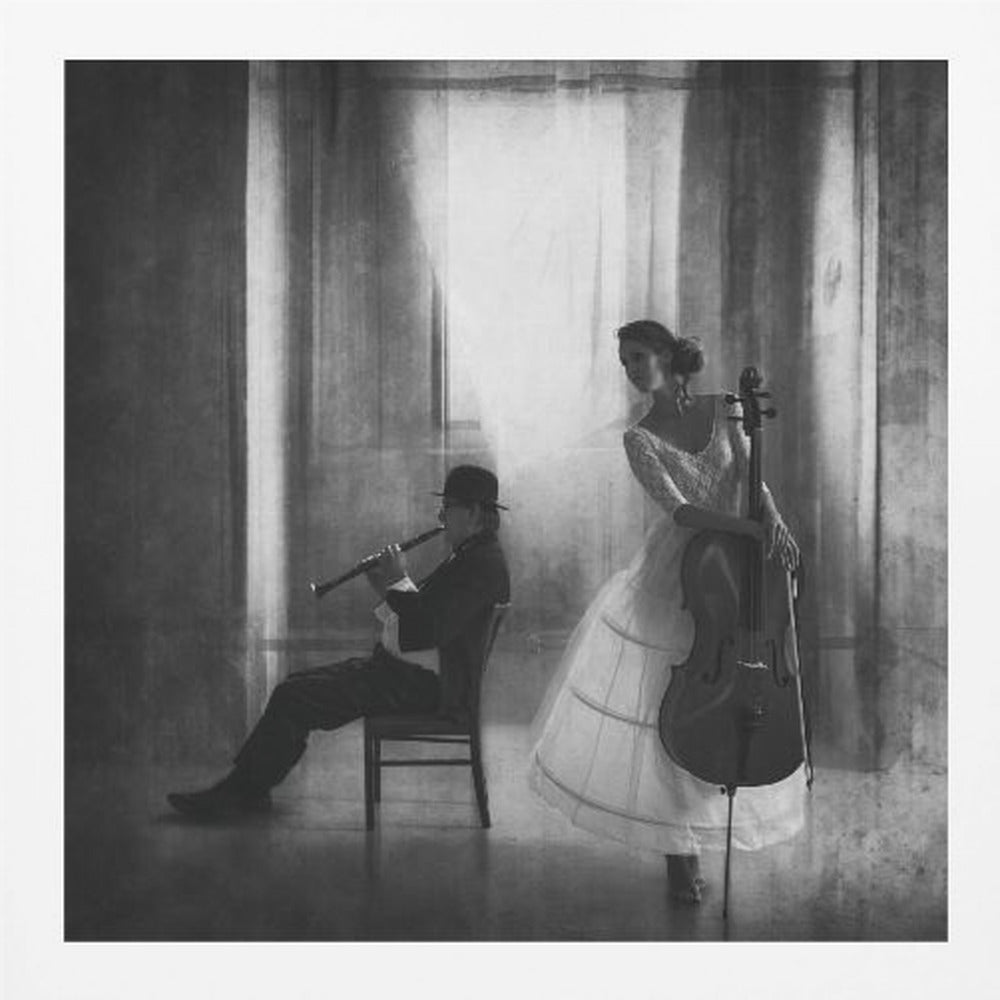 Pause for cello - Poster / Art Print