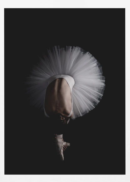 A dramatic photograph of a ballerina against a solid black background. She is bent completely forward, showing her arched back to the camera. Her white tutu fans out in a wide circle around her, and one foot in a pointe shoe is visible beneath her, balanced on its tip. Print