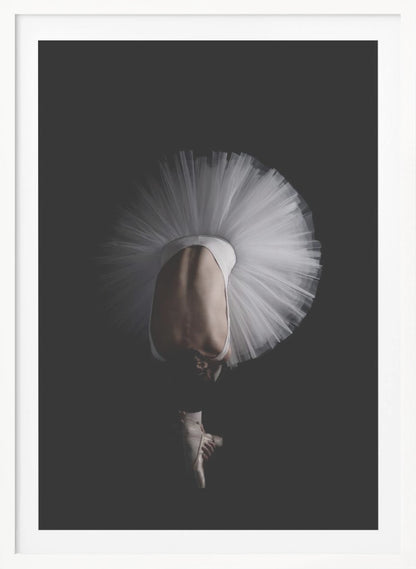A dramatic photograph of a ballerina against a solid black background. She is bent completely forward, showing her arched back to the camera. Her white tutu fans out in a wide circle around her, and one foot in a pointe shoe is visible beneath her, balanced on its tip. Print