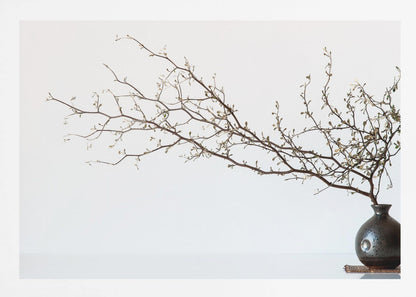A minimalist still life of a long, delicate branch with small leaves arranged horizontally in a small, dark, round ceramic vase. The background is stark white, creating a high-contrast, serene composition, all within a silver frame. Print