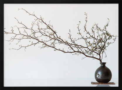 A minimalist still life of a long, delicate branch with small leaves arranged horizontally in a small, dark, round ceramic vase. The background is stark white, creating a high-contrast, serene composition, all within a silver frame. Print