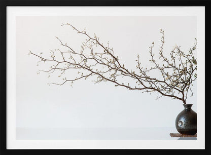 A minimalist still life of a long, delicate branch with small leaves arranged horizontally in a small, dark, round ceramic vase. The background is stark white, creating a high-contrast, serene composition, all within a silver frame. Print