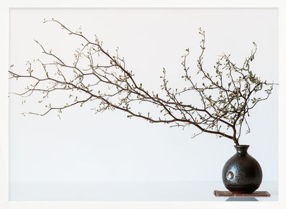 A minimalist still life of a long, delicate branch with small leaves arranged horizontally in a small, dark, round ceramic vase. The background is stark white, creating a high-contrast, serene composition, all within a silver frame. Print