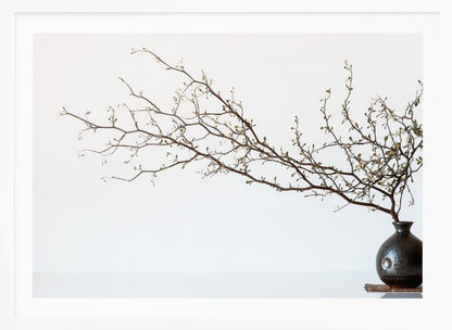 A minimalist still life of a long, delicate branch with small leaves arranged horizontally in a small, dark, round ceramic vase. The background is stark white, creating a high-contrast, serene composition, all within a silver frame. Print