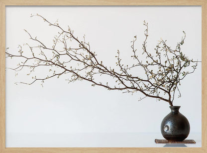 A minimalist still life of a long, delicate branch with small leaves arranged horizontally in a small, dark, round ceramic vase. The background is stark white, creating a high-contrast, serene composition, all within a silver frame. Print