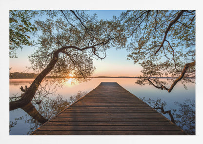 A tranquil sunrise over a still lake, viewed from a long wooden pier that stretches into the water, with silhouetted tree branches framing the serene scene. Poster