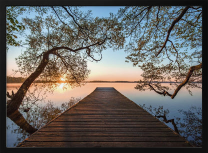 A tranquil sunrise over a still lake, viewed from a long wooden pier that stretches into the water, with silhouetted tree branches framing the serene scene. Poster