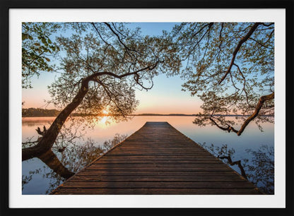 A tranquil sunrise over a still lake, viewed from a long wooden pier that stretches into the water, with silhouetted tree branches framing the serene scene. Poster
