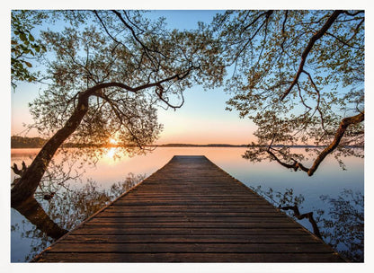 A tranquil sunrise over a still lake, viewed from a long wooden pier that stretches into the water, with silhouetted tree branches framing the serene scene. Poster