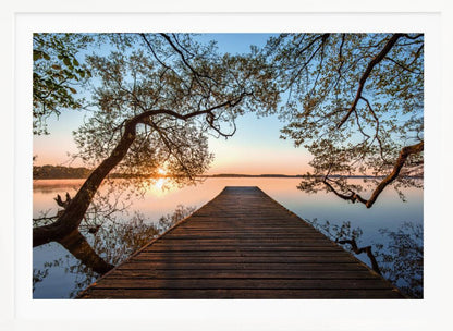 A tranquil sunrise over a still lake, viewed from a long wooden pier that stretches into the water, with silhouetted tree branches framing the serene scene. Poster