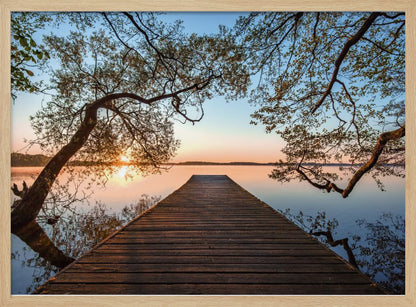 A tranquil sunrise over a still lake, viewed from a long wooden pier that stretches into the water, with silhouetted tree branches framing the serene scene. Poster