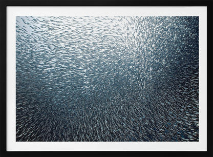 A massive, swirling school of countless small, silvery fish underwater, creating a dense, textured pattern. The light source from above illuminates the upper part of the school against a bright background, which darkens to a deep blue in the lower part of the image. The entire artwork is presented within a silver frame. Decor